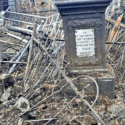 Пошкоджене єврейське кладовище у Салтівському районі Харкова Пошкоджене єврейське кладовище у Салтівському районі Харкова