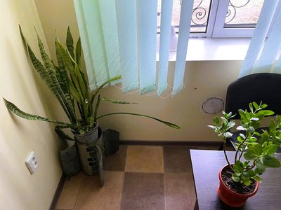 На Миколаївщині відновлюють сільраду, яку пошкодив російський боєприпас На Миколаївщині відновлюють сільраду, яку пошкодив російський боєприпас