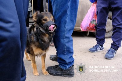 Із Миколаївки евакуювали ще 20 людей: серед них підліток Із Миколаївки евакуювали ще 20 людей: серед них підліток
