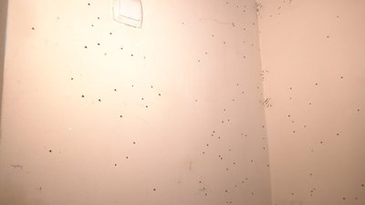 У Житомирі ремонтують філіал бібліотеки на Київській: під підлогою виявили підтоплення У Житомирі ремонтують філіал бібліотеки на Київській: під підлогою виявили підтоплення