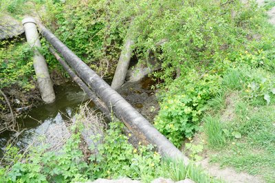У Дніпрі перевірили якість води в озері Куряче: що показали тести У Дніпрі перевірили якість води в озері Куряче: що показали тести