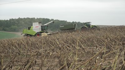 Ціна на олію зросте: на Рівненщині закінчують збір соняшникового насіння Ціна на олію зросте: на Рівненщині закінчують збір соняшникового насіння