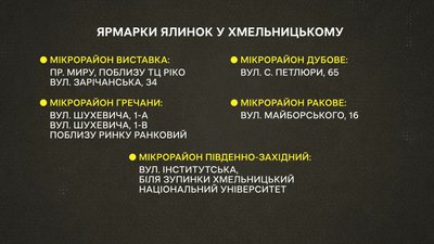 У Хмельницькому цьогоріч продаватимуть менше новорічних дерев: у чому причина У Хмельницькому цьогоріч продаватимуть менше новорічних дерев: у чому причина
