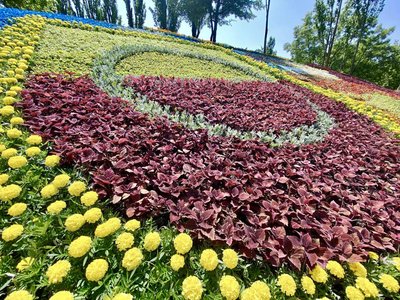 Квітник у Києві "Фортеця Бахмут" Квітник у Києві "Фортеця Бахмут"