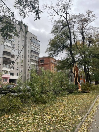 Пориви вітру у Дніпрі: зупинка впала на людей, повалені гілки й білборди Пориви вітру у Дніпрі: зупинка впала на людей, повалені гілки й білборди