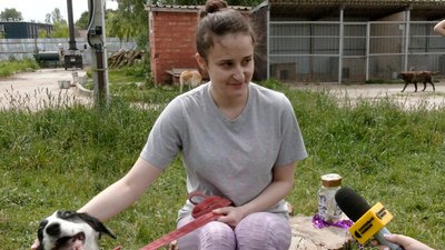Прийшли, аби підняти настрій і знайти друга: як минув день відкритих дверей у центрі "Крок до тварин" у Чернігові Прийшли, аби підняти настрій і знайти друга: як минув день відкритих дверей у центрі "Крок до тварин" у Чернігові