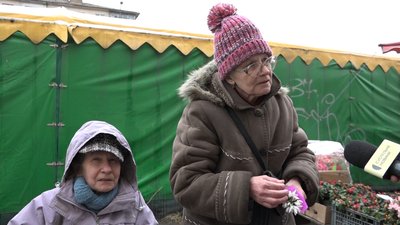 Не штрафуватимуть, якщо є довідка: житомирські екологи про продаж первоцвітів