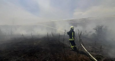 Горіла суха трава та сміття: на Черкащині сталось шість пожеж Горіла суха трава та сміття: на Черкащині сталось шість пожеж