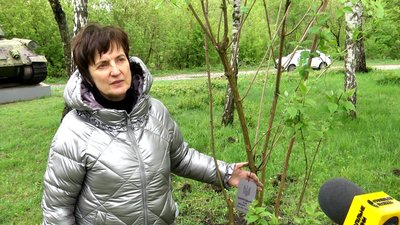 У Житомирі в пам'ять про загиблих військових висадили 22 дерева біля Монументу слави У Житомирі в пам'ять про загиблих військових висадили 22 дерева біля Монументу слави