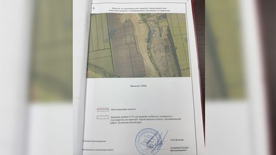 Понад пів століття випасали корів: на Кіровоградщині пасовище передали у приватну власність Понад пів століття випасали корів: на Кіровоградщині пасовище передали у приватну власність