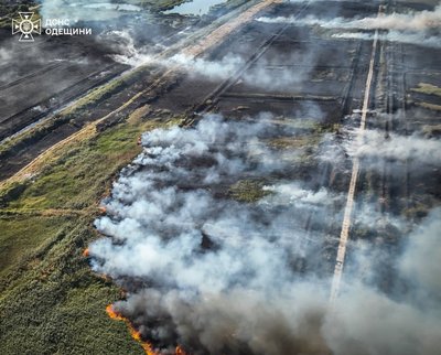 Займання очерету в Одесі: вогонь охопив дев'ять гектарів площі Займання очерету в Одесі: вогонь охопив дев'ять гектарів площі