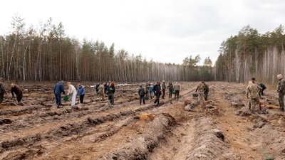 Ліс пам'яті висадили на Чернігівщині на честь загиблого воїна-лісівника Андрія Трихліба Ліс пам'яті висадили на Чернігівщині на честь загиблого воїна-лісівника Андрія Трихліба