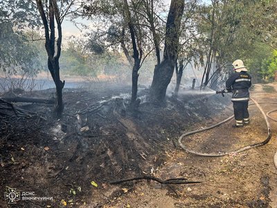 Загоряння сухої трави: на Вінниччині за добу ліквідували 62 пожежі Загоряння сухої трави: на Вінниччині за добу ліквідували 62 пожежі