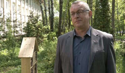 Андрій Газилишин, будиночки для комах Андрій Газилишин, будиночки для комах