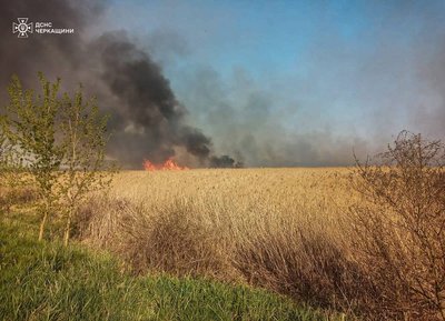 На Черкащині за добу сталося вигоріло 12 гектарів сухостою