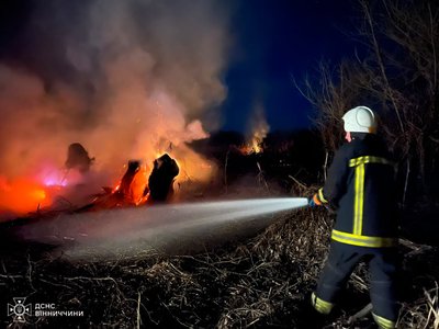 На Вінниччині за добу вигоріло 77 гектарів землі