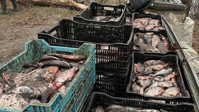 На Кіровоградщині браконьєри наловили риби на понад 2,5 мільйона гривень На Кіровоградщині браконьєри наловили риби на понад 2,5 мільйона гривень