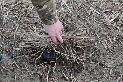 Міна замаскована в ґрунті Міна замаскована в ґрунті