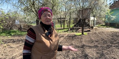 Рання висадка картоплі на Полтавщині: коли треба починати садити Рання висадка картоплі на Полтавщині: коли треба починати садити