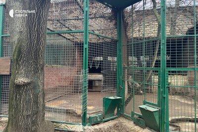В Одеському зоопарку прокоментували ситуацію з нападом леопарда на працівника