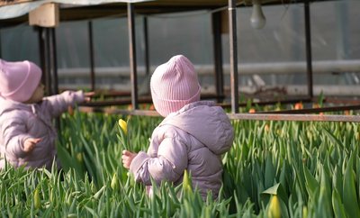 "Це наш квітковий рай": родина з Черкащини розповіла про свою квіткову справу "Це наш квітковий рай": родина з Черкащини розповіла про свою квіткову справу