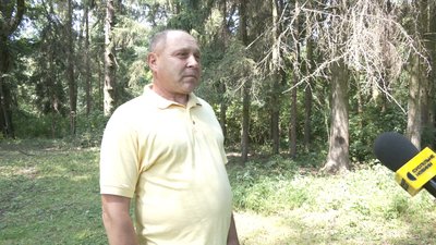 Занедбана пам'ятка садово-паркового мистецтва: у Івницькому парку аварійні дерева падають на дорогу Занедбана пам'ятка садово-паркового мистецтва: у Івницькому парку аварійні дерева падають на дорогу