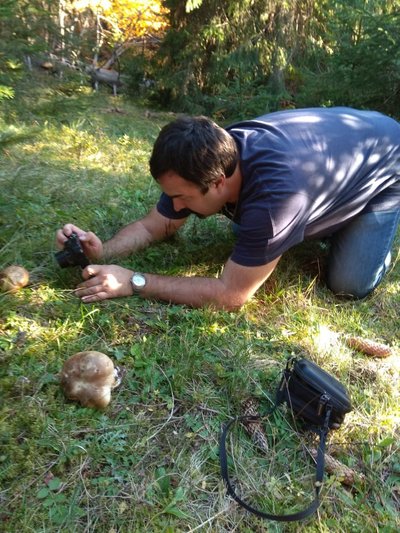 Павло фотографує знайдені гриби Павло фотографує знайдені гриби