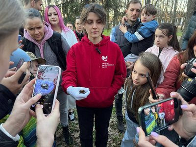 Понад 100 кажанів випустили у природу у Вінниці Понад 100 кажанів випустили у природу у Вінниці