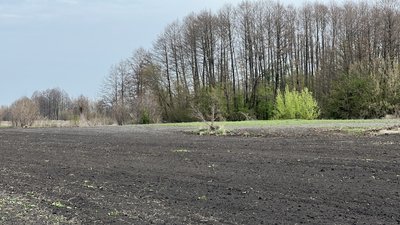 Під Котельвою на Полтавщині науковці знайшли скіфське поселення Під Котельвою на Полтавщині науковці знайшли скіфське поселення