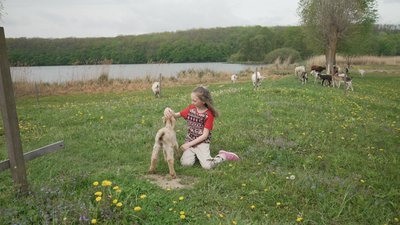 На Вінниччині восьмирічна дівчинка доглядає козеня Лукерію та допомагає родині на фермі На Вінниччині восьмирічна дівчинка доглядає козеня Лукерію та допомагає родині на фермі