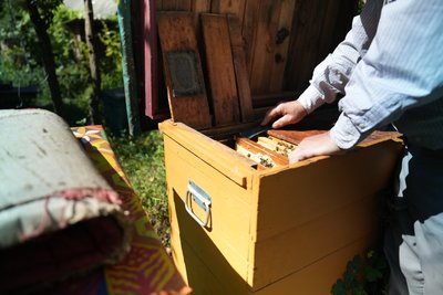 "Качаємо відро меду з вулика". Яким був початок медозбору на Сумщині "Качаємо відро меду з вулика". Яким був початок медозбору на Сумщині