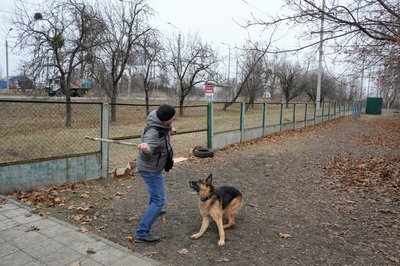 вигул собаки