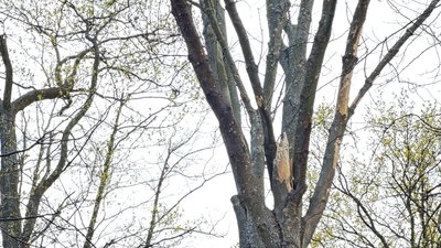 Обстріл Полтавської громади 27 квітня: що розповіли очевидці