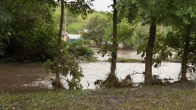 Змиті городи, замулені подвір'я та знищений врожай: село Залужжя на Хмельниччині опинилося під водою через зливу Змиті городи, замулені подвір'я та знищений врожай: село Залужжя на Хмельниччині опинилося під водою через зливу