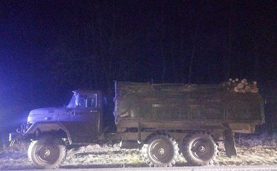 Незаконно перевозив деревину, Тернопільщина, січень 2025 Незаконно перевозив деревину, Тернопільщина, січень 2025