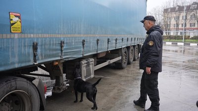 Нюх проти контрабанди: як службові собаки з Вінниччини знаходять зброю і наркотики Нюх проти контрабанди: як службові собаки з Вінниччини знаходять зброю і наркотики