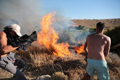 У Туреччині через лісові пожежі загинули двоє людей У Туреччині через лісові пожежі загинули двоє людей