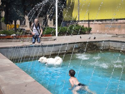 Олег та його собака, який у спеку купається у фонтані в Чернівцях Олег та його собака, який у спеку купається у фонтані в Чернівцях