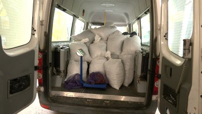 Лучани зібрали більш як 10 тонн каштанів. Куди їх передадуть Лучани зібрали більш як 10 тонн каштанів. Куди їх передадуть