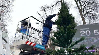 У кропивницькому сквері встановили ялинку: коли відкриватимуть