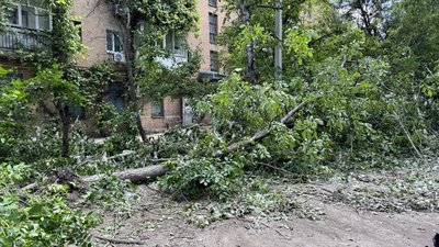 У кропивницькому дворі після грози 27 травня залишаються повалені дерева: хто їх має прибрати У кропивницькому дворі після грози 27 травня залишаються повалені дерева: хто їх має прибрати