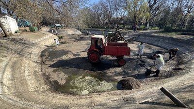 Миколаївці допомогали зоопарку розчистити ставки для птахів