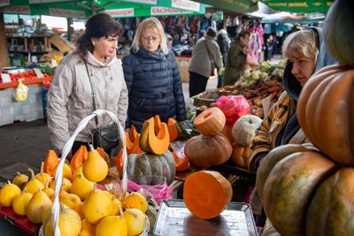 «Цей гарбуз для всіх моїх колишніх»: скільки коштують гарбузи на одеському Привозі «Цей гарбуз для всіх моїх колишніх»: скільки коштують гарбузи на одеському Привозі