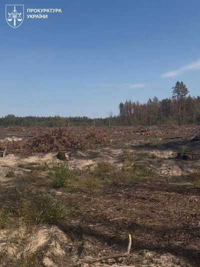 Наслідки рубки лісу Наслідки рубки лісу