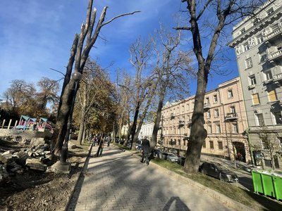 Збитки парку Шевченка у Києві від російської ракети перевищують 2 млн гривень