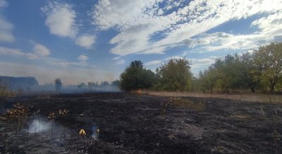 Горіли дерева і сухостій — на Черкащині за добу сталися вісім пожеж на відкритих територіях Горіли дерева і сухостій — на Черкащині за добу сталися вісім пожеж на відкритих територіях