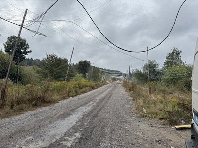 Поліцейські «Білого Янгола» евакуювали з-під обстрілів подружжя з Вакалівщини разом із чотирма котами і собакою Поліцейські «Білого Янгола» евакуювали з-під обстрілів подружжя з Вакалівщини разом із чотирма котами і собакою