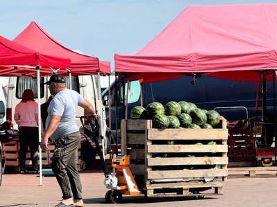 Перевірка якості баштанних культур на ринку в Житомирі