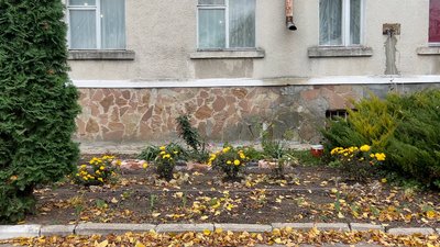 "Він нас називає сепаратистами", "а вони мене - Гітлером": на Рівненщині конфліктують переселенці та адміністрація "Він нас називає сепаратистами", "а вони мене - Гітлером": на Рівненщині конфліктують переселенці та адміністрація
