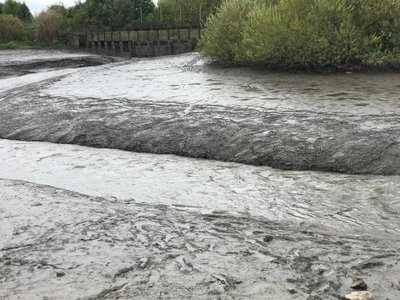 Спустив річку, горинь, русло, риба, ставки, тернопільщина Спустив річку, горинь, русло, риба, ставки, тернопільщина